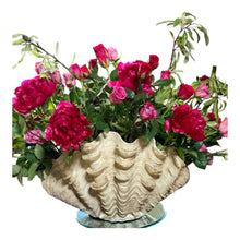 Load image into Gallery viewer, Beautiful resin clam shell - 20”x12”